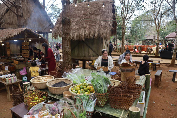 Du lịch Quảng Ngãi bứt phá dịp Tết Dương lịch 2026, doanh thu tăng 143%