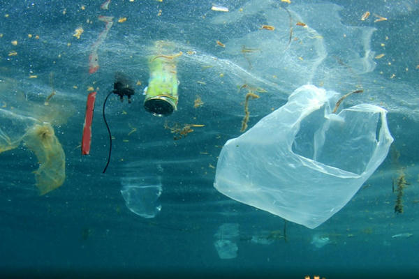 Quay lưng với nhựa dùng một lần