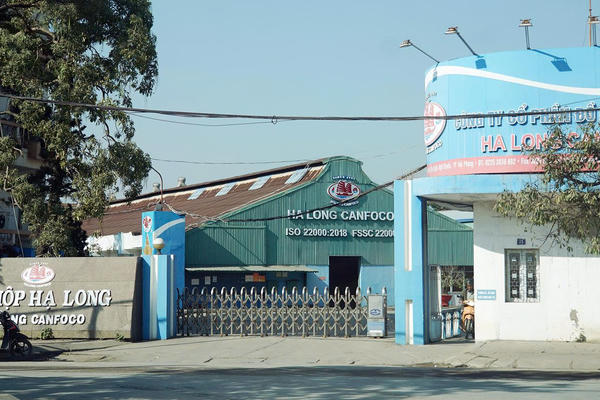 Canfoco có thành thật khi công bố chưa đưa thịt lợn bệnh vào sản xuất?