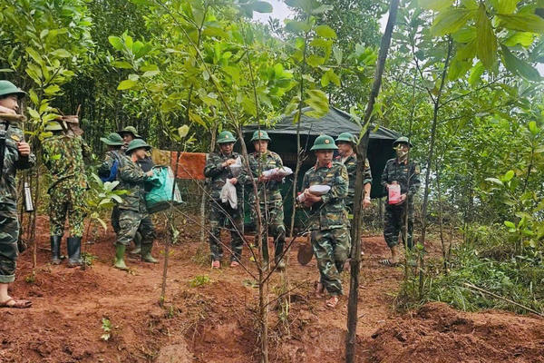 Quảng Trị: Cất bốc được 2 hài cốt liệt sĩ ở rừng tràm