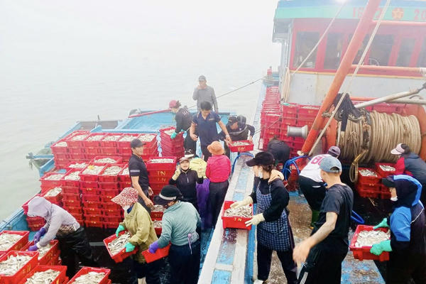 Đầu năm, ngư dân bội thu từ “lộc biển”