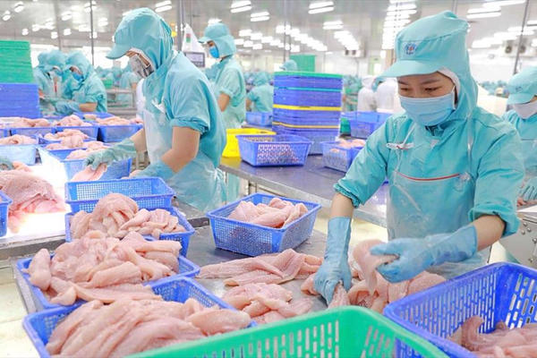 Bước nhảy vọt trong xuất khẩu thuỷ sản vào thị trường Singapore