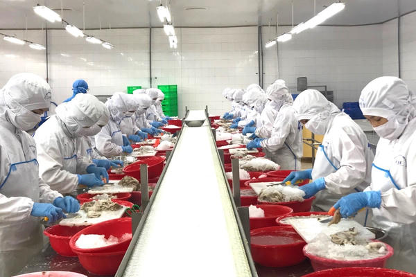 Xuất khẩu nông lâm thuỷ sản tăng trưởng mạnh