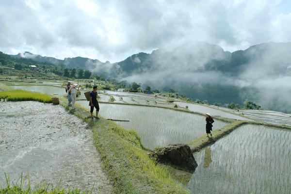Phim truyền hình không ngừng làm mới