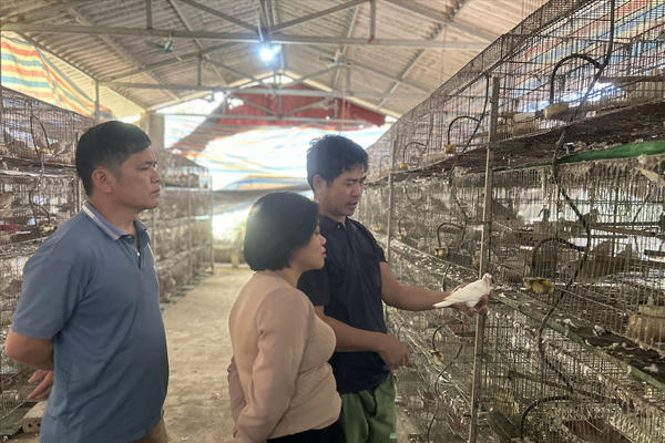 Lạng Sơn: Lồng ghép hiệu quả các nguồn lực trong giảm nghèo