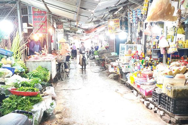 Quy định xử phạt vi phạm hành chính trong lĩnh vực thú y Quy định xử phạt vi phạm hành chính trong lĩnh vực thú y