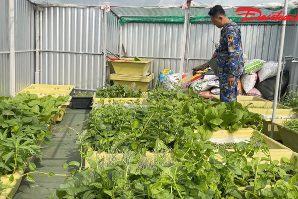 Những vườn rau xanh ngát giữa trùng khơi ở nhà giàn DK1