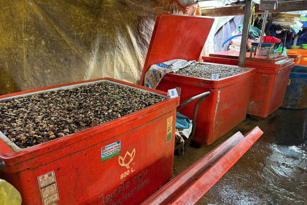 Tăng cường chặn thực phẩm bẩn