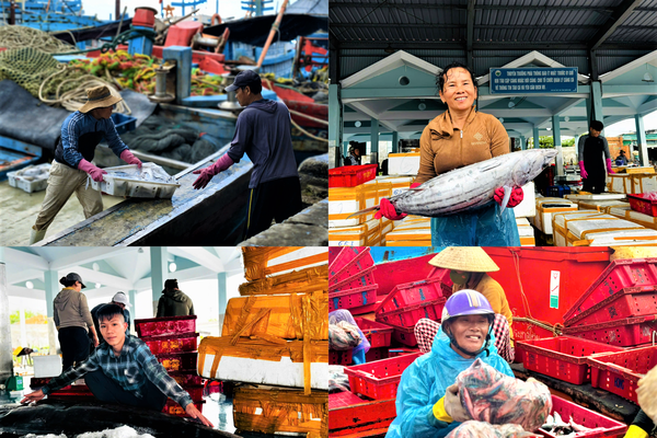 Quảng Ngãi: Tàu cá đầy ắp hải sản về bến trong không khí rộn ràng đón Tết