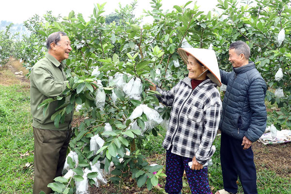Nối dài nhịp cầu đoàn kết