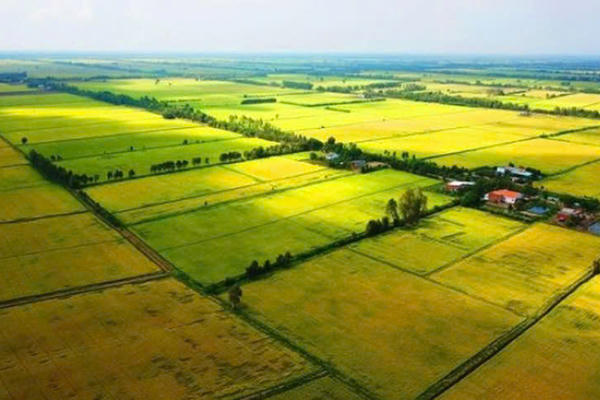 Cách tính tiền sử dụng đất khi chuyển sang đất ở theo quy định mới