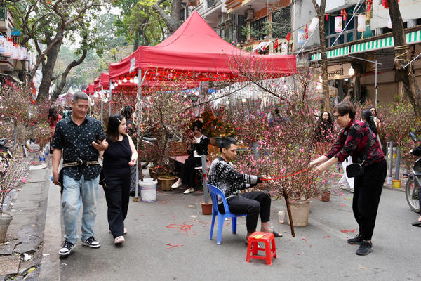 Chợ hoa Xuân Phố cổ 2026:  Thu hút hàng nghìn khách trong ngày khai mạc
