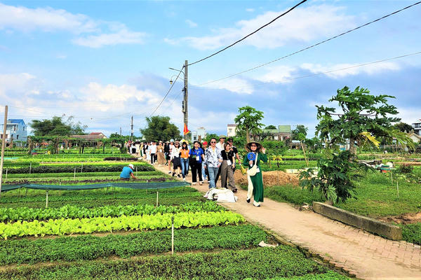 Mầm xanh trở lại nơi rốn lũ