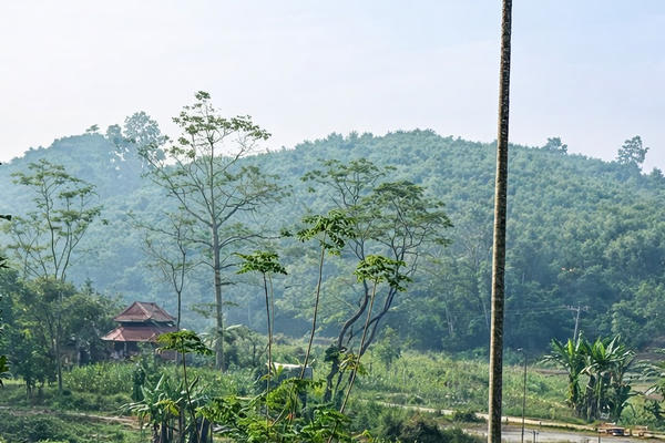 Tìm về chốn “Bầm ơi”