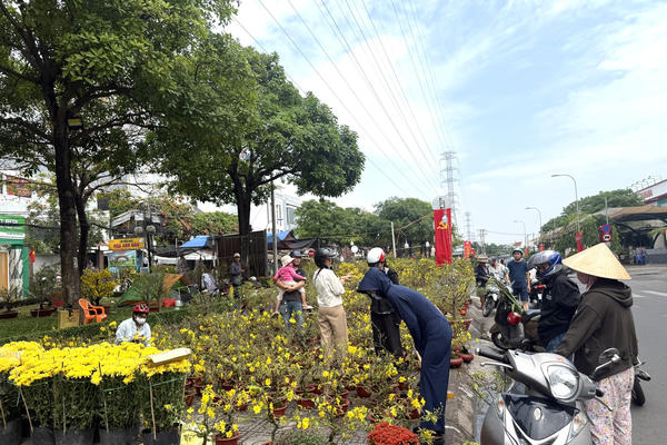 Chợ hoa 29 Tết rộn ràng, sức mua vào cao điểm