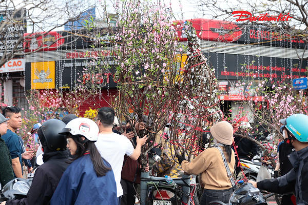 Chợ hoa chiều 29 Tết nhộn nhịp, đào quất, đồng loạt “xả hàng” giá thấp