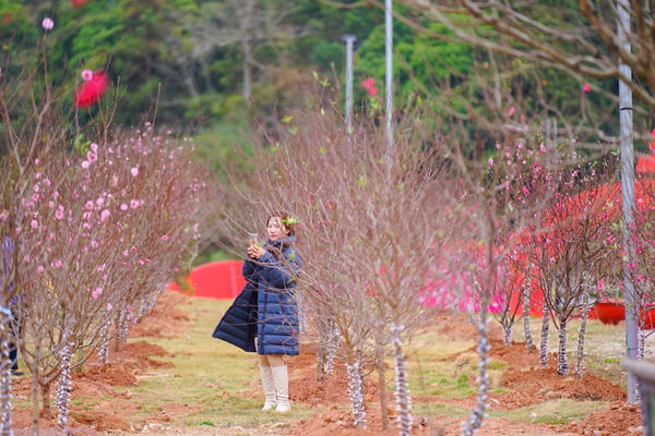 Mùng 1 Tết: Bắc Bộ đón không khí lạnh, Nam Bộ nắng ấm