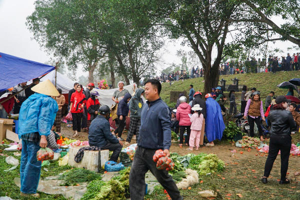 Người dân 'choảng' cà chua mùng 6 Tết để cầu may