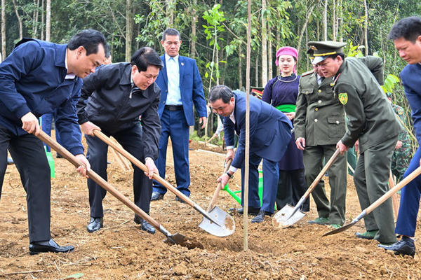 Chủ tịch nước Lương Cường: Tiếp tục đưa phong trào trồng cây đi vào chiều sâu, thực chất