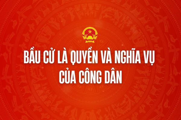 Infographic: Quyền và nghĩa vụ của công dân trong bầu cử Quốc hội và HĐND nhiệm kỳ 2026-2031