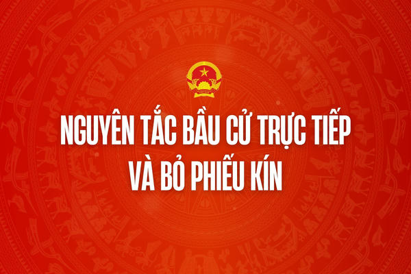 Infographic: Nguyên tắc bầu cử trực tiếp và bỏ phiếu kín