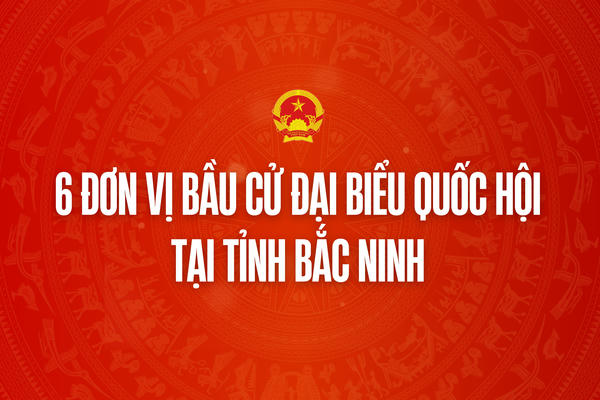 Infographic: 6 đơn vị bầu cử đại biểu Quốc hội tại tỉnh Bắc Ninh 