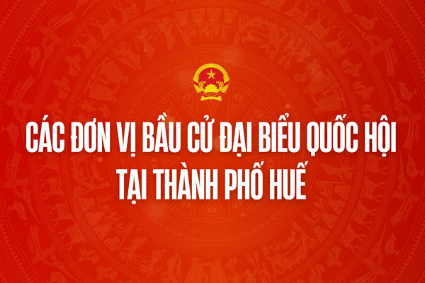 Infographic: Các đơn vị bầu cử đại biểu Quốc hội tại thành phố Huế