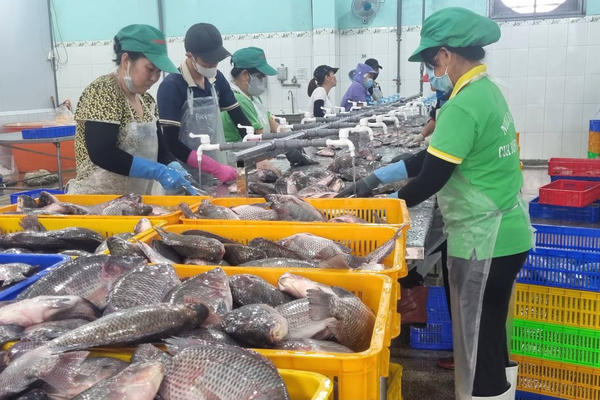 Thủy sản Việt gặp khó do ảnh hưởng từ xung đột ở Trung Đông