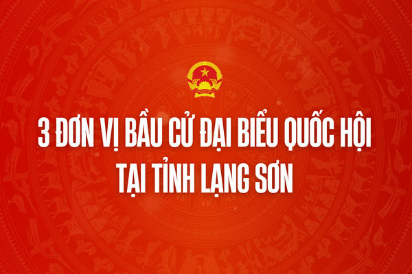 Infographic: 3 đơn vị bầu cử đại biểu Quốc hội tại tỉnh Lạng Sơn 