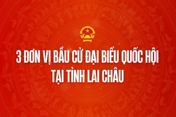 Infographic: 3 đơn vị bầu cử đại biểu Quốc hội tại tỉnh Lai Châu