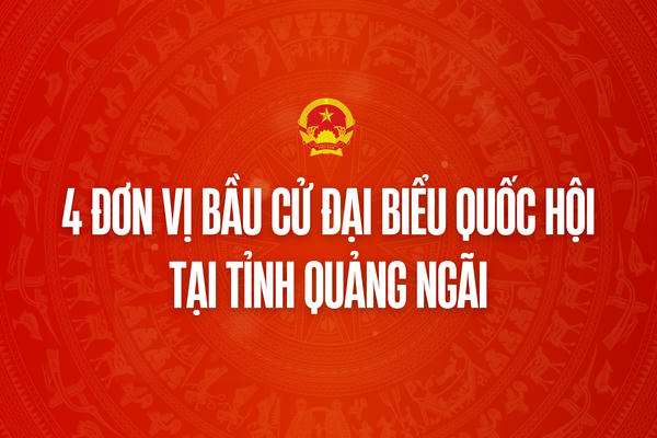 Infographic: 4 đơn vị bầu cử đại biểu Quốc hội tại tỉnh Quảng Ngãi