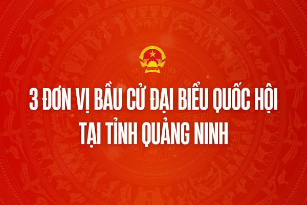 Infographic: 3 đơn vị bầu cử đại biểu Quốc hội tại tỉnh Quảng Ninh