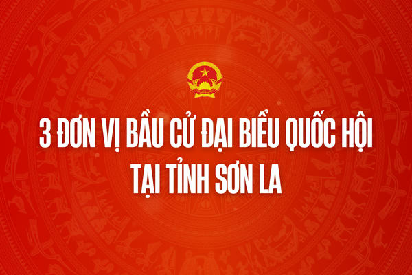 Infographic: 3 đơn vị bầu cử đại biểu Quốc hội tại tỉnh Sơn La