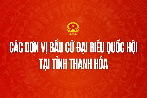 Infographic: Các đơn vị bầu cử đại biểu Quốc hội tại tỉnh Thanh Hóa Infographic: Các đơn vị bầu cử đại biểu Quốc hội tại tỉnh Thanh Hóa