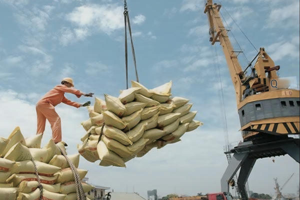 Khai thác thị trường mới cho ngành gạo Khai thác thị trường mới cho ngành gạo