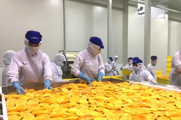 Nhiều mặt hàng nông sản có mức tăng trưởng cao