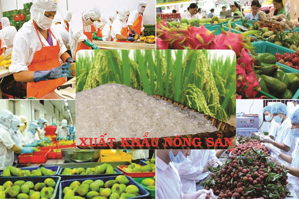 Tạo đà để ngành nông nghiệp bứt phá