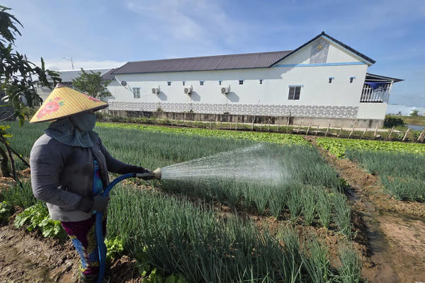 Chính sách dân tộc - đòn bẩy giúp đồng bào Khmer vươn lên thoát nghèo Chính sách dân tộc - đòn bẩy giúp đồng bào Khmer vươn lên thoát nghèo