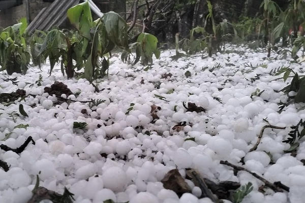 Mưa đá kèm dông lốc sét khiến 4 người chết, 9 người bị thương, 6.564 nhà hư hỏng Mưa đá kèm dông lốc sét khiến 4 người chết, 9 người bị thương, 6.564 nhà hư hỏng