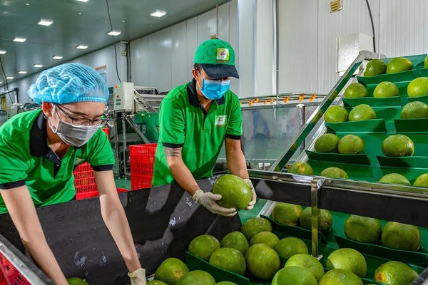 Xuất khẩu nông lâm thủy sản quý I: Nhiều mặt hàng tăng trưởng mạnh