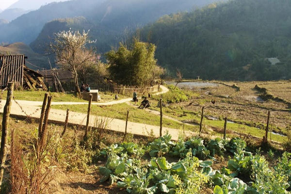 Nhìn lại diện mạo Điện ảnh Việt Nam 40 năm đổi mới