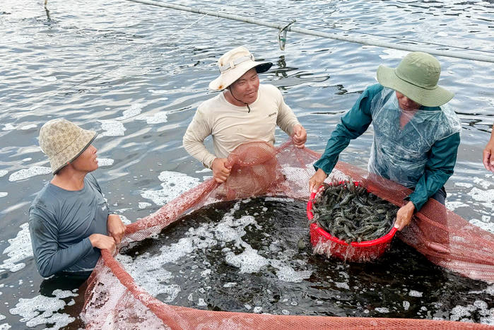 Cà Mau: Từ “thủ phủ” thủy sản đến trung tâm năng lượng tái tạo của cả nước