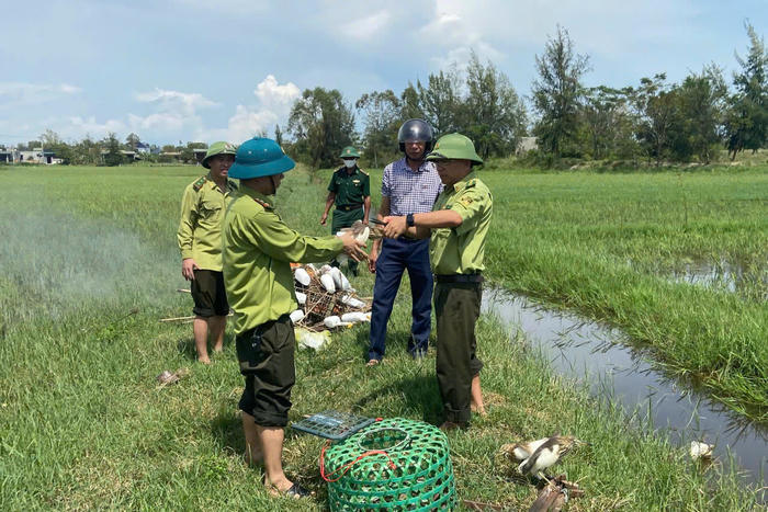 Quảng Trị: Tăng cường xử lý nạn săn bắt chim tự nhiên trái phép