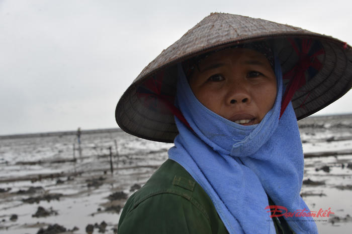 Quảng Ninh: Ngư dân lên tiếng về nạn dùng hoá chất “đầu độc biển” Quảng Ninh: Ngư dân lên tiếng về nạn dùng hoá chất “đầu độc biển”