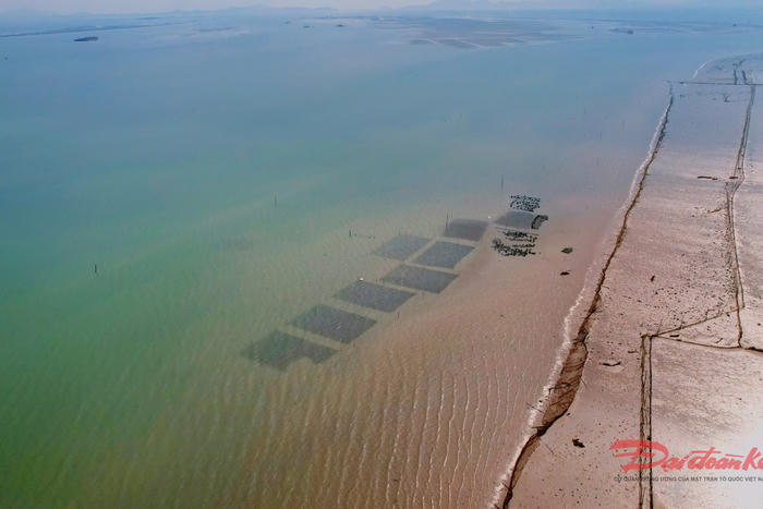 Quảng Ninh: Tiếp tục truy tìm thủ phạm làm hải sản chết bất thường 