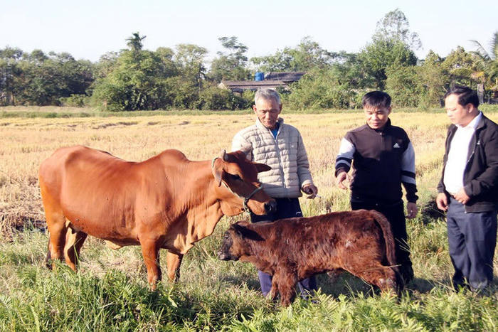 Bắc Ninh: Hỗ trợ người dân tiếp cận khoa học-công nghệ, kinh tế số để mở rộng sinh kế Bắc Ninh: Hỗ trợ người dân tiếp cận khoa học-công nghệ, kinh tế số để mở rộng sinh kế