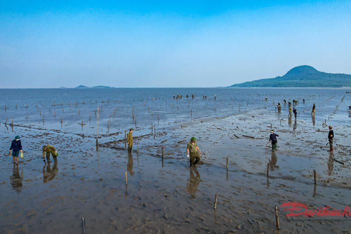 Công an Quảng Ninh vào cuộc xử lý vi phạm trong nuôi trồng thủy sản