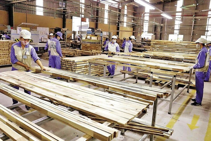 Năm 2026 chuyển lâm nghiệp từ ổn định sang tăng trưởng cao