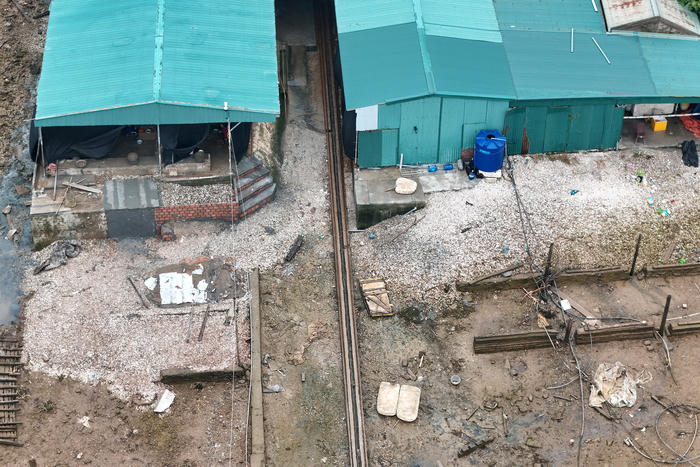 Doanh nghiệp gom hàng từ xưởng sơ chế hàu "tự phát" để xuất khẩu?