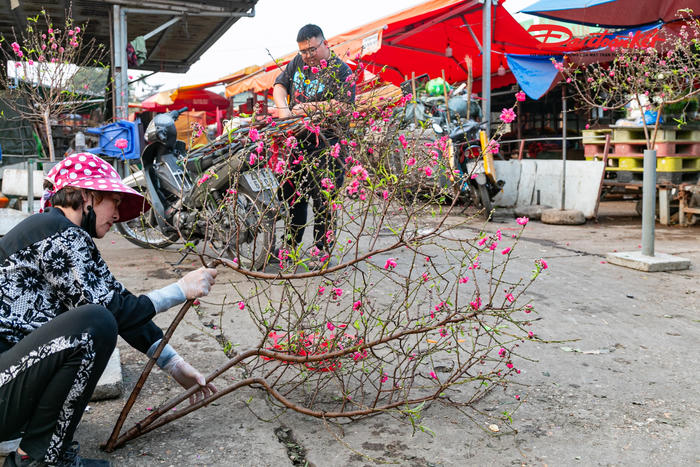 Đào, quất gọi Xuân về sớm, tiểu thương phấn khởi vào vụ Tết